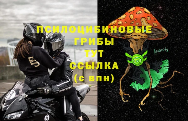 твердый Вяземский