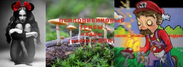 дмт Нефтекумск