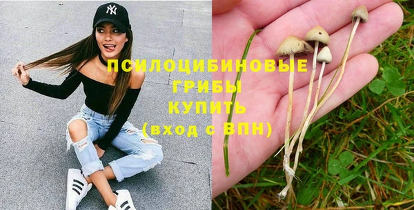 наркотики Новодвинск